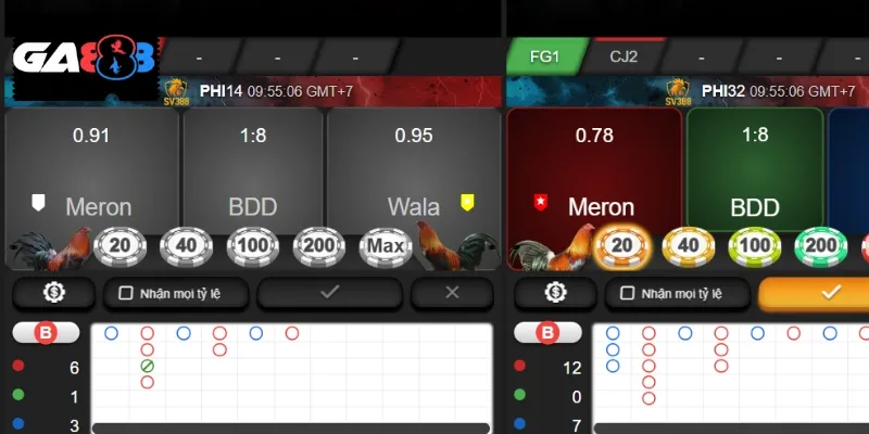 Các giải đấu đá gà đa dạng, phong phú từ nhiều trường gà nổi tiếng